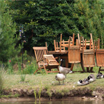 Burton Waters Lodges