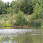 Burton Waters Lodges