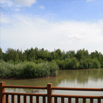 Burton Waters Lodges