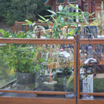 Burton Waters Lodges